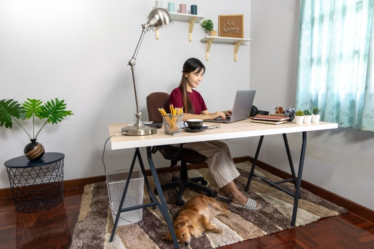 13 Tips to Deal With Work From Home