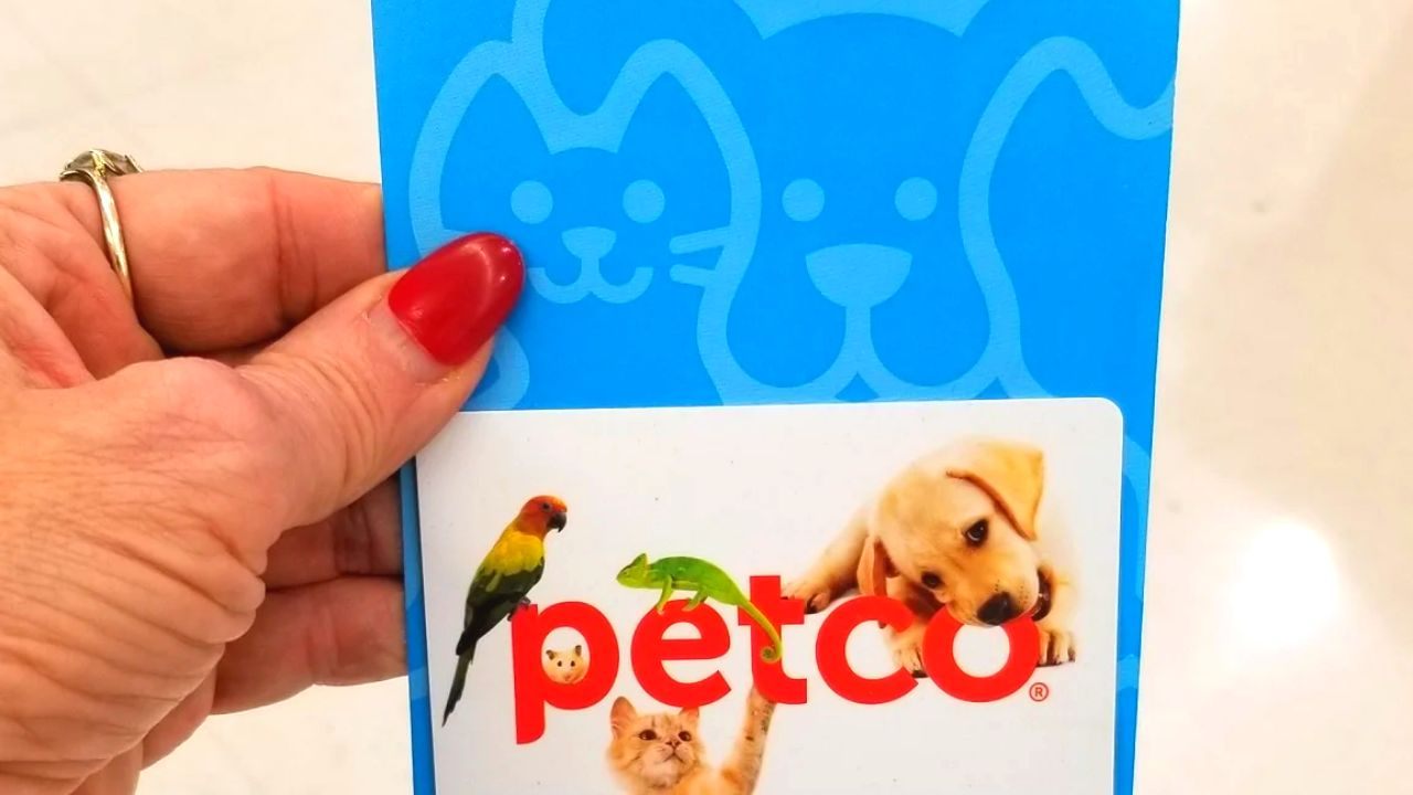 Learn How to Apply for a Petco Pay Credit Card