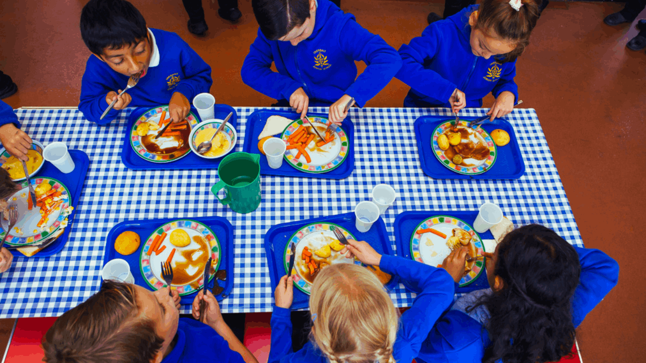 Ensuring Access to Free School Meals in UK: Information and Support