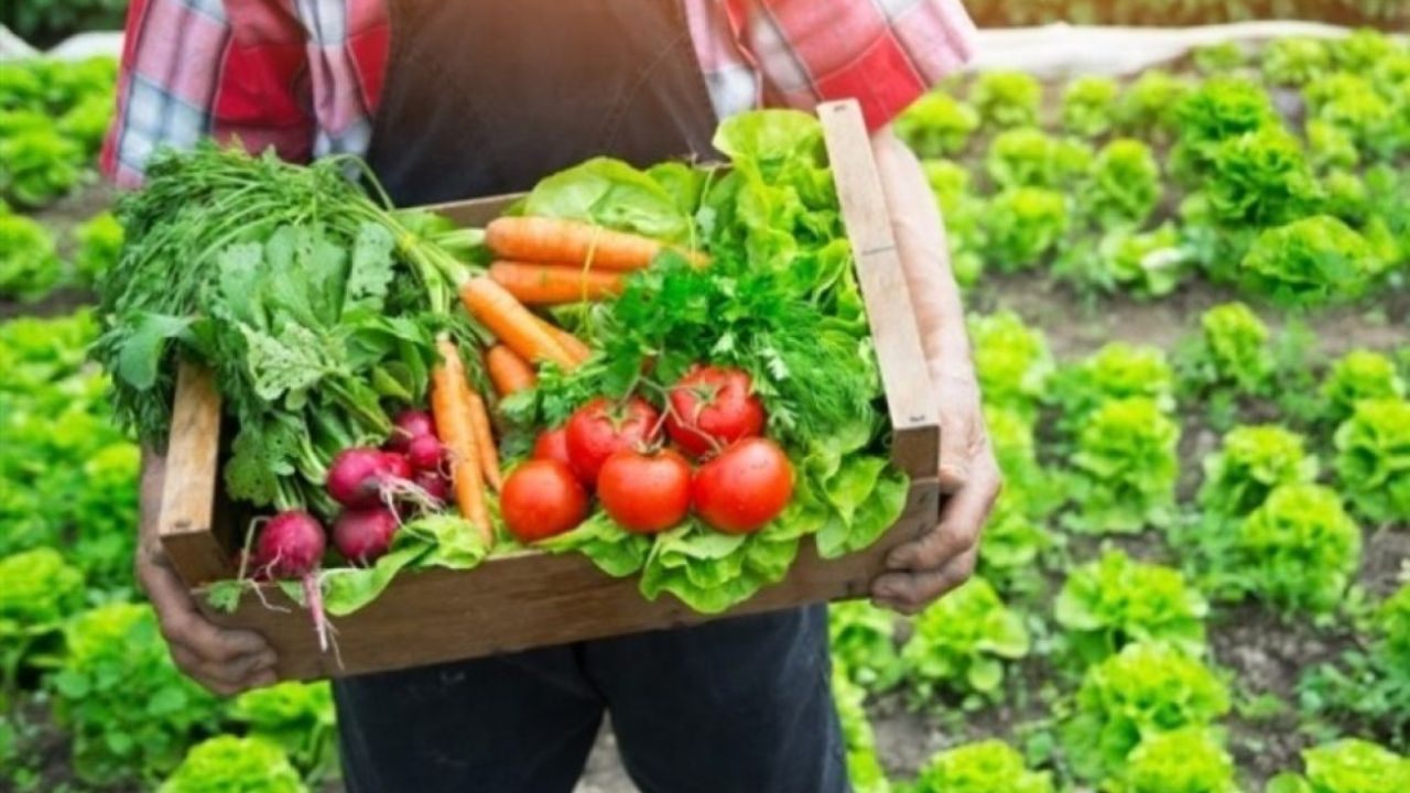 Rural Land Credit Program (PNCF): Financing for Family Farmers