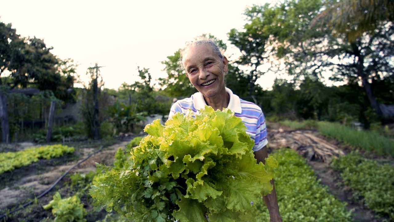 Rural Land Credit Program (PNCF): Financing for Family Farmers