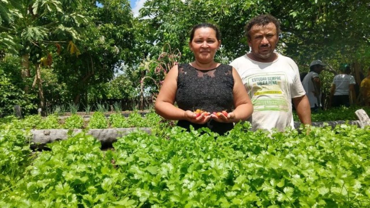 Rural Land Credit Program (PNCF): Financing for Family Farmers