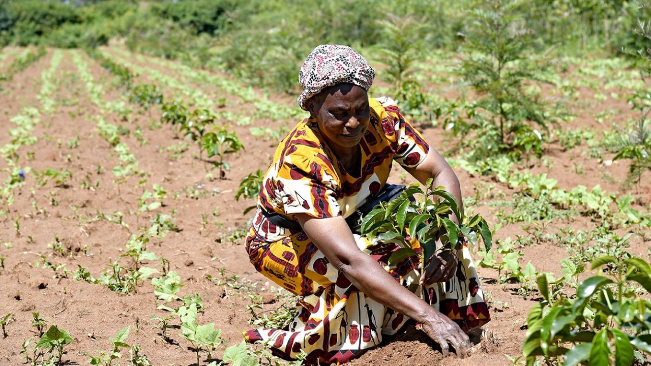 Rural Productive Activities Program: Support for Extremely Poor Rural Families