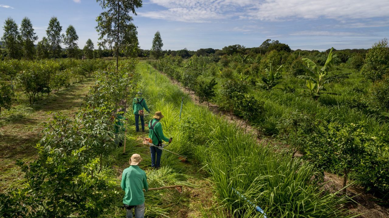Rural Productive Activities Program: Support for Extremely Poor Rural Families