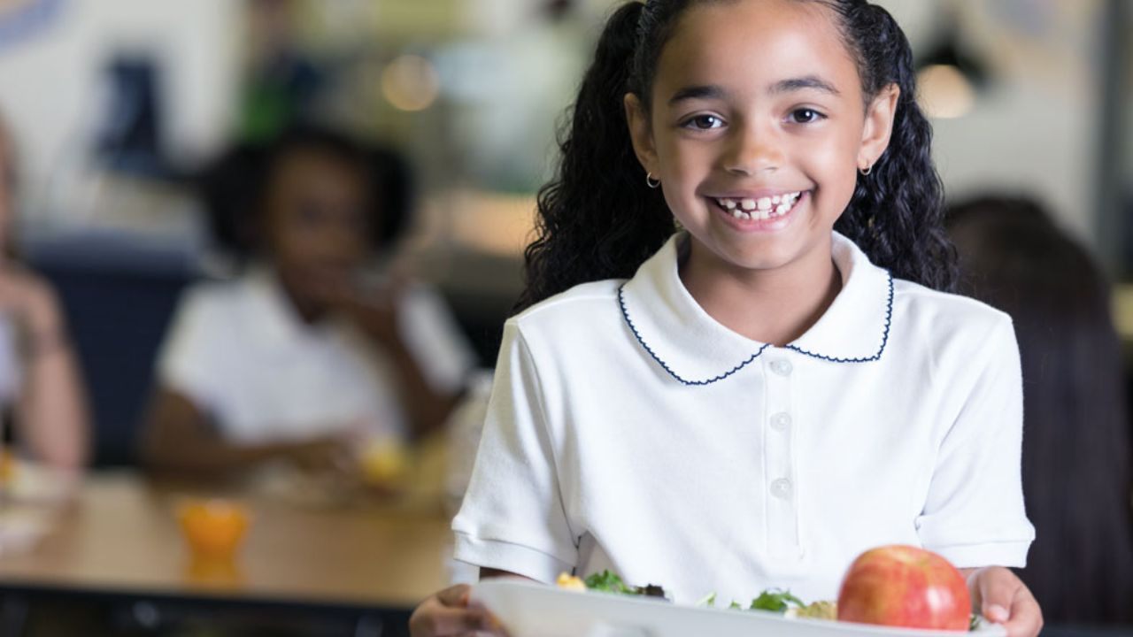 National School Feeding Program (PNAE): Free Meals for Public School Students