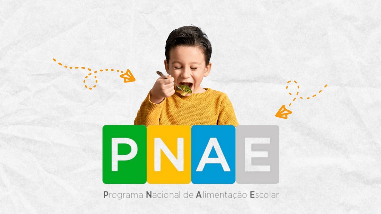 National School Feeding Program (PNAE): Free Meals for Public School Students