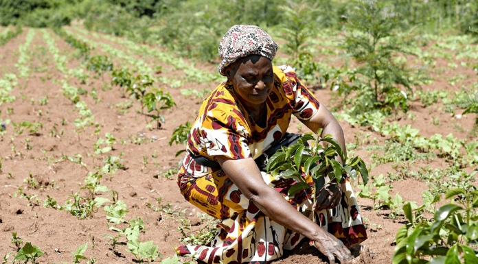 Rural Productive Activities Program: Support for Extremely Poor Rural Families