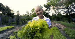 Rural Land Credit Program (PNCF): Financing for Family Farmers