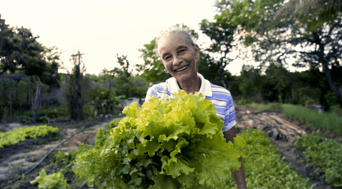 Rural Land Credit Program (PNCF): Financing for Family Farmers